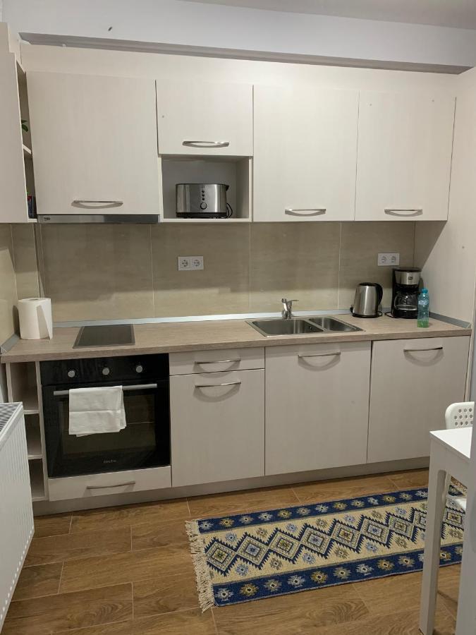Welcoming Gemini Apartment 1 Sibiu Exterior foto